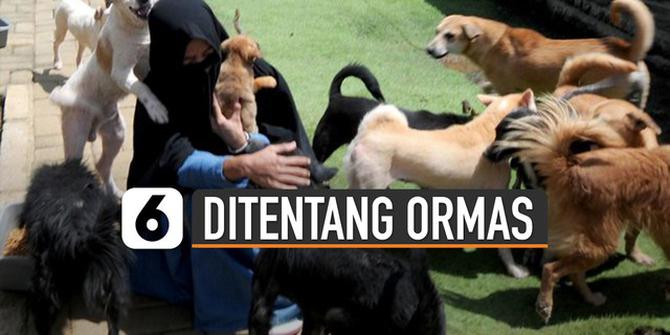 VIDEO: Rawat 71 Anjing Terlantar, Aksi Mulia Hesti Ditentang Ormas