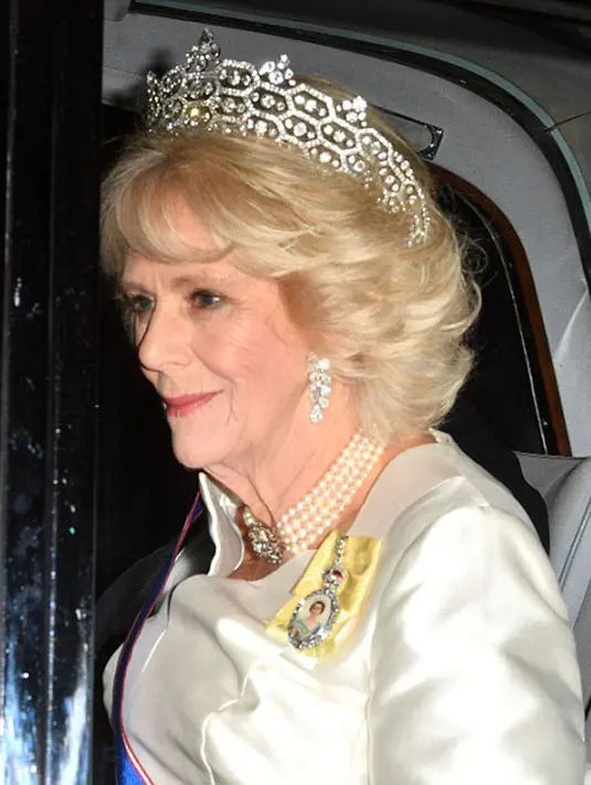 Mahkota Tiara yang dikenakan Kate memang kerap digunakan oleh Putri Diana sejak lama. Tiara itu berhiaskan mutiara dan berlian, tak heran jika banyak orang yang tertarik ketika melihat benda berharga itu. (doc.dailymail.com)