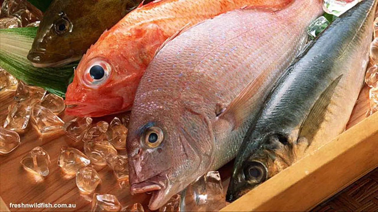 protein-ikan130507a.jpg