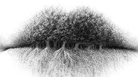 Pohon, Bibir, atau Akar? Objek Pertama yang Dilihat Ungkap Kepribadian