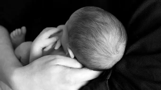 Ilustrasi./Copyright pixabay.com