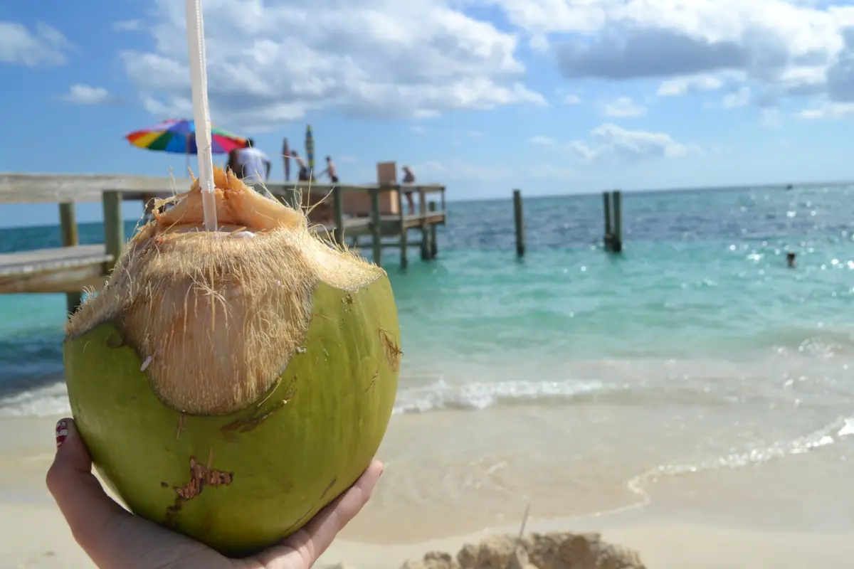 [Bintang] Manfaat Minum Air Kelapa, Nomor 2 Bisa Wujudkan Mimpi Para Cewek!