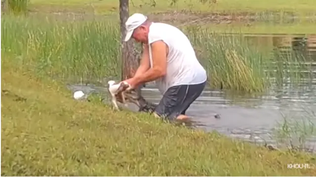 Demi Selamatkan Anjingnya dari Buaya, Pria Ini Rela Lompat ke Danau Tanpa Bantuan