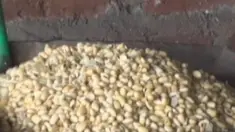 liputan6