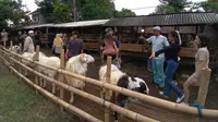 Saat Mahasiswi Cantik Jadi Marketing di Kandang Kambing