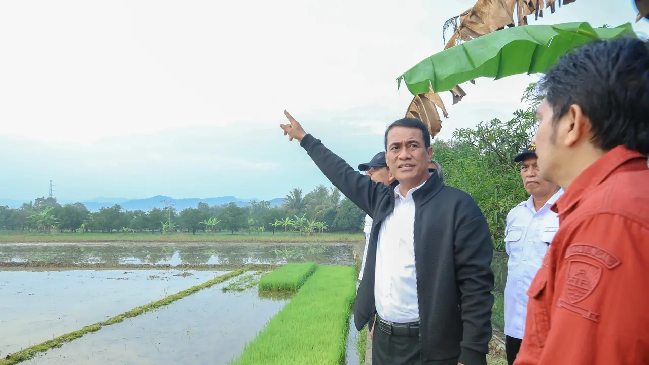 Mentan Amran: Pompanisasi Bisa Tingkatkan Produksi Petani 200 Persen