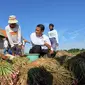 Mentan Amran Sulaiman berdialog dengan petani bawang di Desa Cigentong, Kecamatan Wanasari, Kabupaten Brebes.