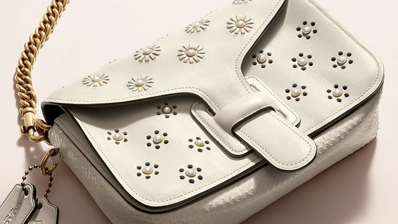 Coach x Rodarte