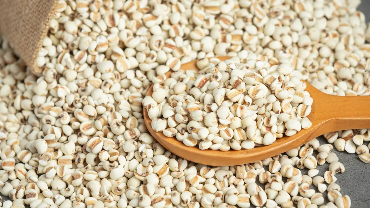 Barley