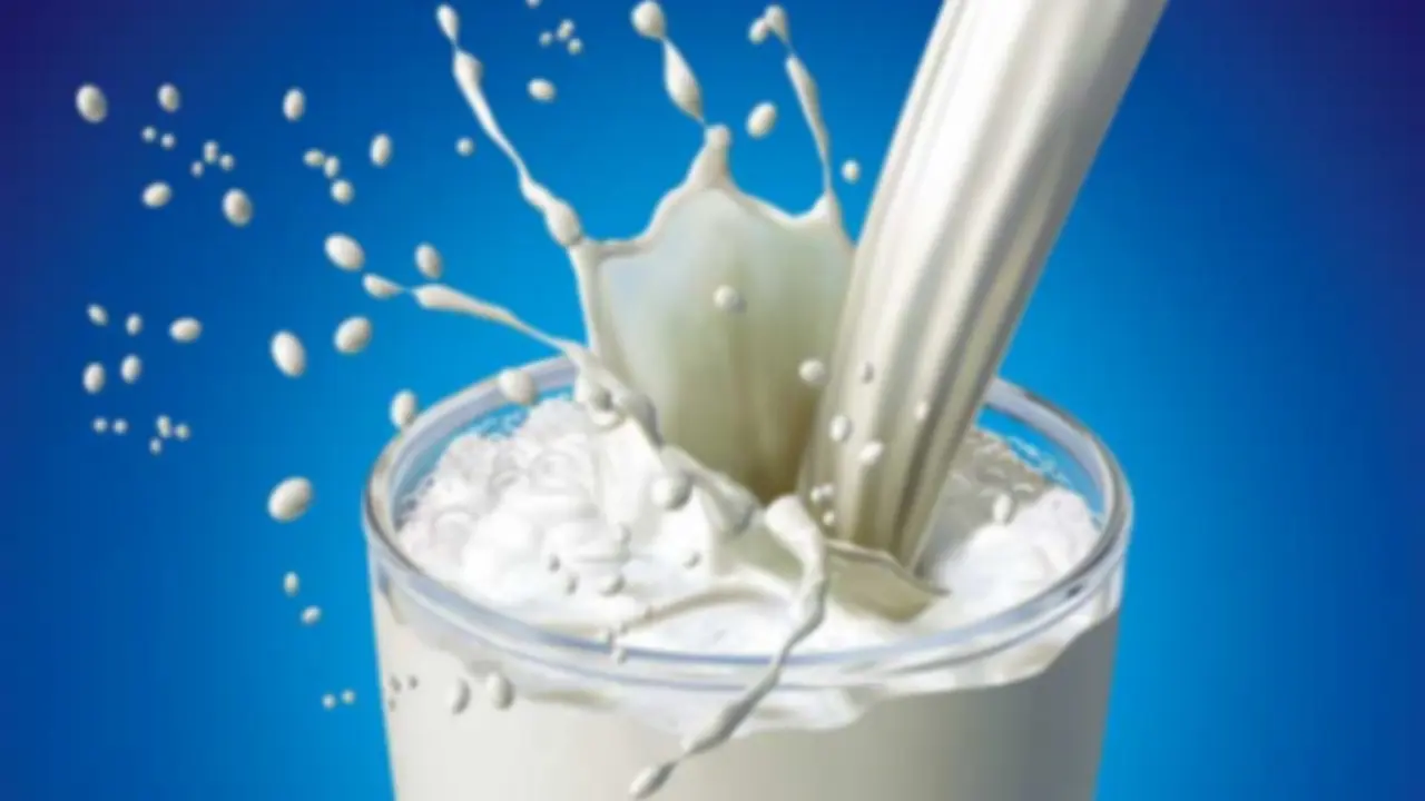 Ini Dia Alasan Kenapa Kamu Harus Minum Susu!
