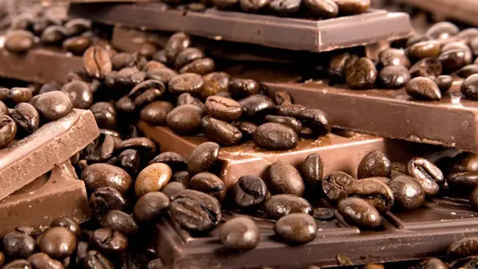 (c) shutterstock.com