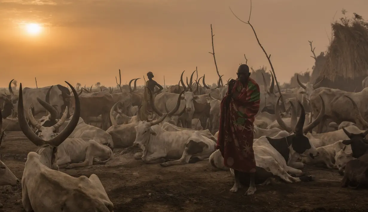 Penggembala dari suku Dinka berdiri di kamp ternak mereka di Mingkaman, Lakes State, Sudan Selatan, Minggu (4/3). Selama musim kemarau, penggembala dari dataran tinggi akan pindah ke dataran rendah dan dekat dengan Sungai Nil. (Stefanie GLINSKI/AFP)