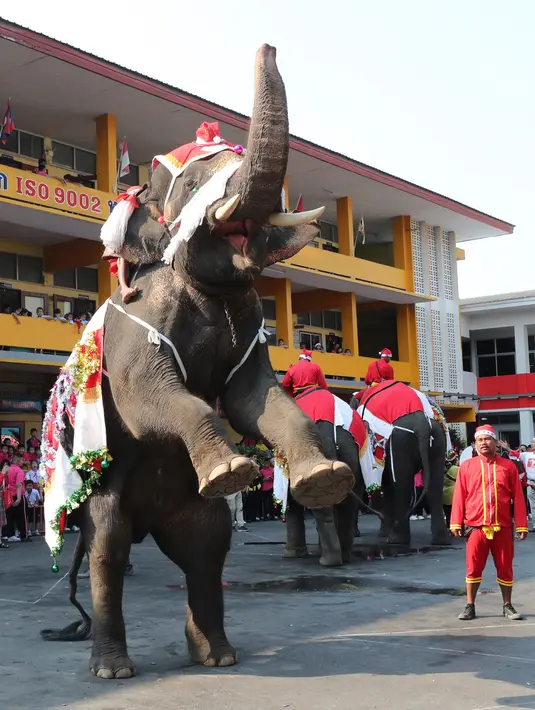 Gajah berkostum sinterklas tampil di depan siswa saat perayaan Natal di sekolah Jirasartwitthaya, Provinsi Ayutthaya, Thailand, Senin (23/12/2019). Acara tahunan ini digelar untuk menyambut Natal. (AP Photo/Sakchai Lalit)