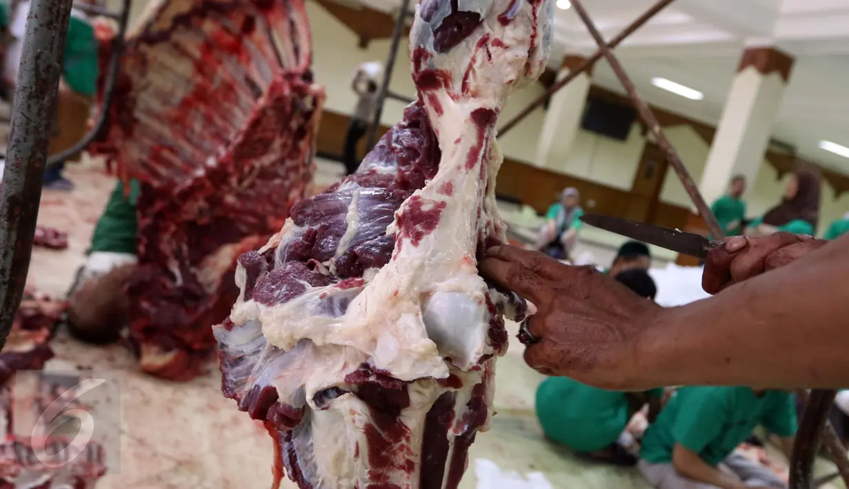 Panitia memotong-motong daging hewan kurban di Masjid Sunda Kelapa, Jakarta, Senin (12/9). Pengurus masjid memutuskan daging hewan kurban akan dibagikan melalui yayasan, musala atau masjid terdekat. (Liputan6.com/Helmi Afandi)