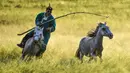 Seorang penggembala menangkap kuda dengan laso dalam atraksi budaya di sebuah pusat pembiakan kuda di Wilayah Ujimqin Barat, Xilin Gol, Daerah Otonom Mongolia Dalam, China utara, pada 31 Juli 2020. (Xinhua/Peng Yuan)