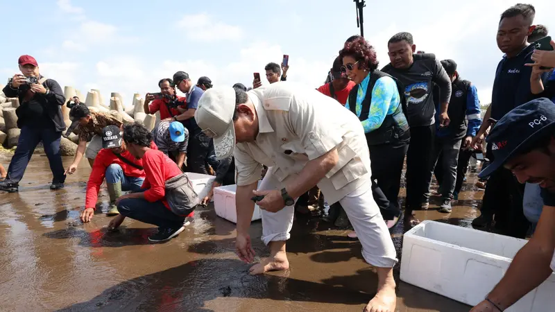 Ketua Umum Partai Gerindra Prabowo Subianto bersama mantan Menteri Kelautan dan Perikanan Susi Pudjiastuti dalam acara pelepasan anak penyu di Pantai Pangandaran, Jawa Barat, Senin (17/7/2023). (Tim Humas Prabowo)