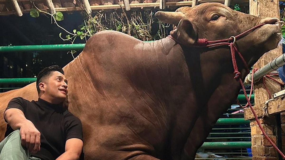 Benarkah Hewan Qurban Bakal Jadi Tunggangan di Akhirat? Ini Penjelasan Ustadz Adi Hidayat