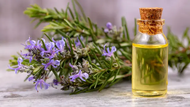 10 Minyak Alami untuk Rambut Rontok dan Panduan Penggunaan untuk Hasil yang Maksimal