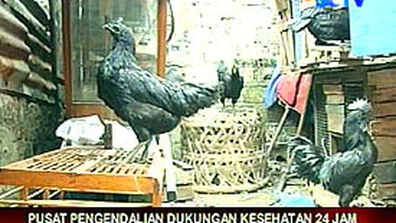 170107cflubur.jpg