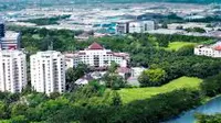 Lippo Ungkap Alasan Jual Properti Pakai Dolar 