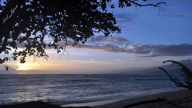wisata pantai lampung
