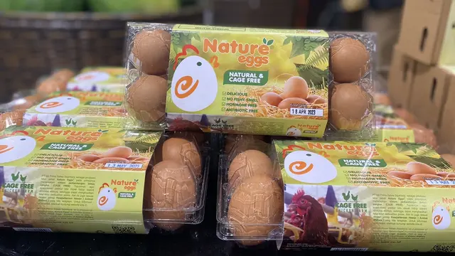Telur Cage Free