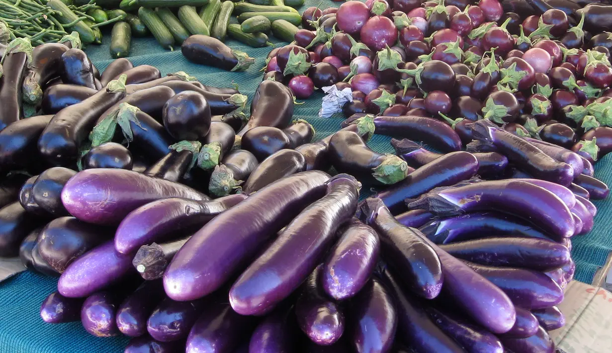 Kandungan phytonutrient yang disebut nasunin, kandungan tersebut merupakan antioksidan ampuh yang dapat mengatasi kerusakan kulit karena penuaan atau penyakit. Kandungan itulah yang tersimpan dalam kulit terong. (Istimewa)