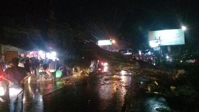 Pohon Tumbang Melintang Di Jalan Jalur Puncak Bogor Macet