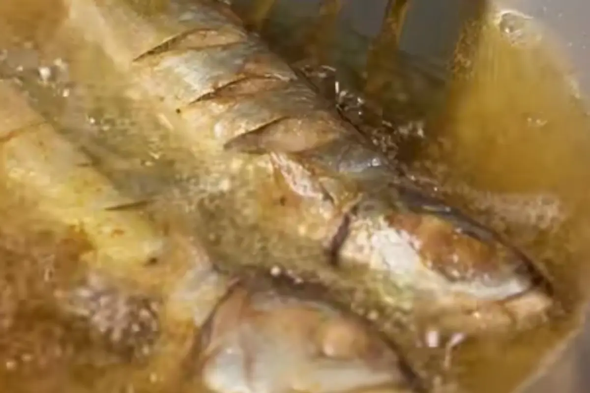 Cara Ampuh Menggoreng Ikan agar Tidak Meletup.