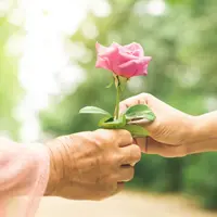 Ilustrasi./Copyright shutterstock.com/g/Doucefleur