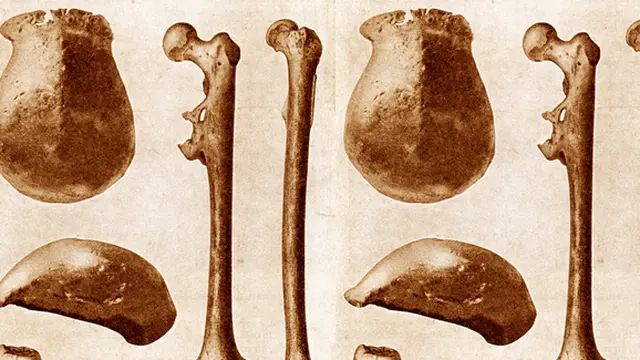 Foto: copyright wikimedia.com