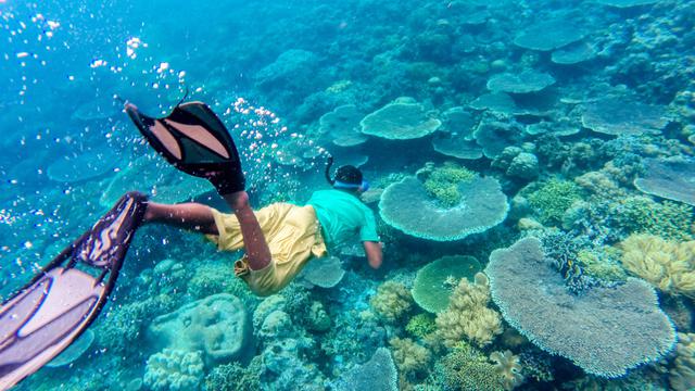 Pesona Budaya sampai Bahari Desa Wisata Liya Togo