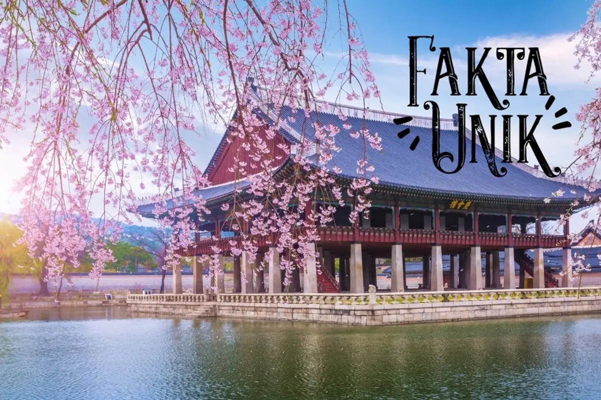 [Bintang] Korea