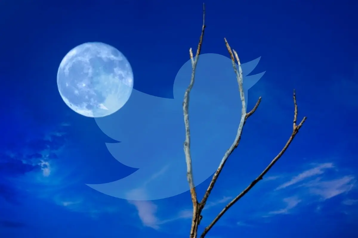 6 Tipe Orang Saat Ungkapkan Penyesalan Gagal Lihat Blue Moon