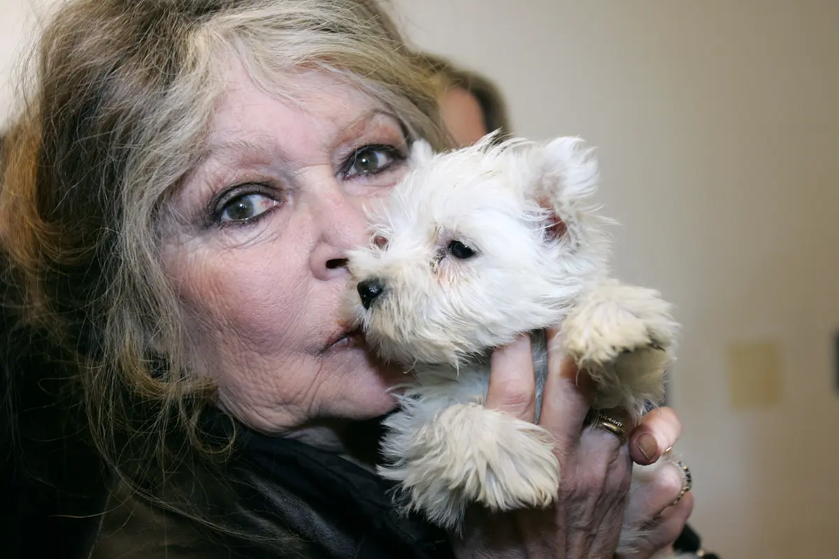 Kontroversi Brigitte Bardot, Si Pembela Hak Hewan yang Pernah Dituding Tebar Kebencian pada Islam