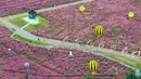Foto udara yang diambil pada 6 Oktober 2023 ini menunjukkan orang-orang berjalan di antara rumput muhly merah muda di sebuah taman di Nanjing, di provinsi Jiangsu timur, China. (STR/AFP)