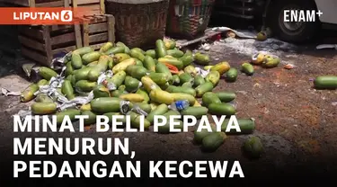 MENURUNNYA MINAT PEMBELI SERTA HARGA JUAL ANJLOK, PEDAGANG PEPAYA KECEWA BUANG KE JALAN