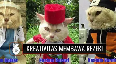 Sadar harus memiliki sumber penghasilan lain, seorang guru honorer di Bogor asah keahliannya dalam menjahit. Hasilnya, koleksi baju kucing yang gemas ini tak hanya datangkan rezeki untuknya tetapi juga untuk para tetangganya lho.