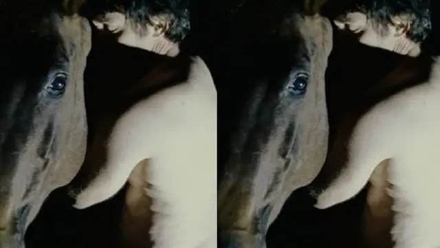 Foto: Copyright ListVerse.com