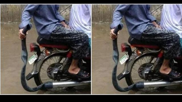 4. Knalpot anti banjir, modifikasi unik di India dengan menggunakan karet ban dalam bekas untuk membungkus knalpot.