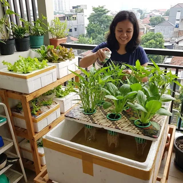 Sistem Tandon Nutrisi Rakit Apung (Gemini AI)