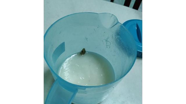 5 Foto Makanan Tercampur Sesuatu Ini Bikin Enggak Nafsu Makan