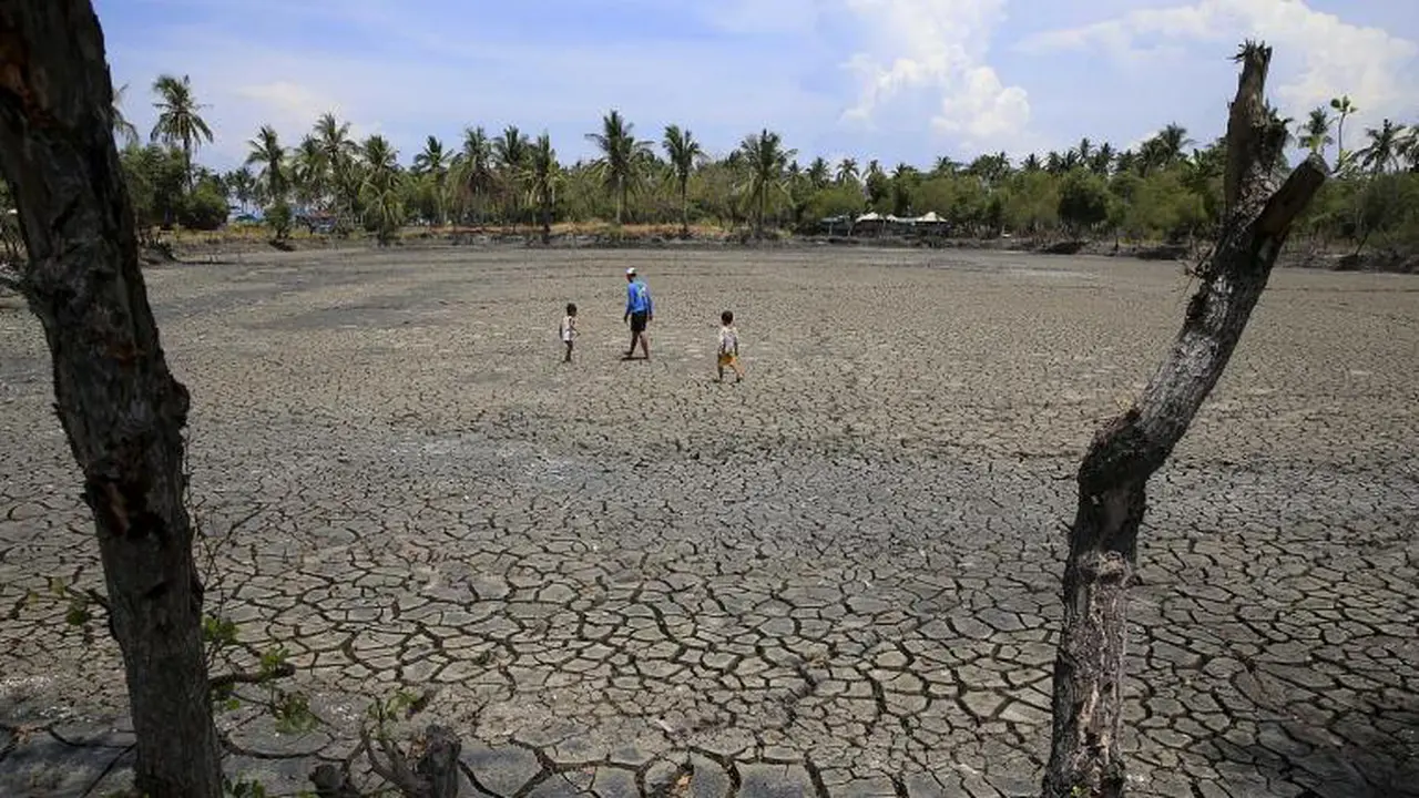 Kekeringan akibat dampak El Nino 