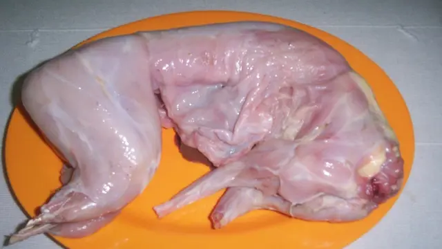 Melampaui Sapi, Daging Kelinci Minim Kolesterol Tinggi Protein