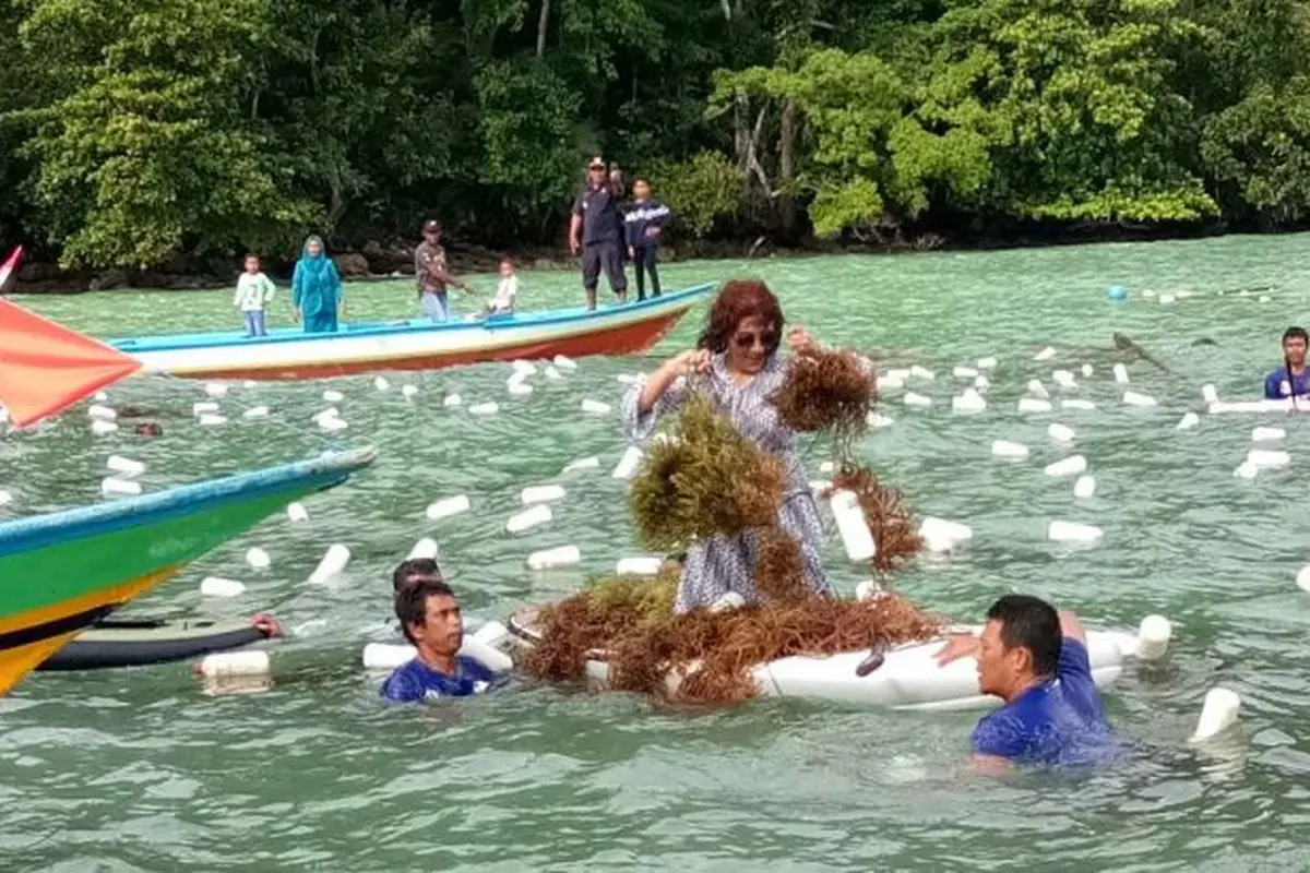 Menteri Kelautan dan Perikanan, Susi Pudjiastuti melakukan panen raya rumput laut di kampung Saharei Distrik Fakfak Timur Kabupaten Fak Fak, Papua Barat. (Dok KKP)