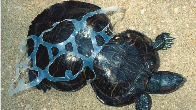 Bahaya Lingkungan, Awasi Penggunaan Plastik