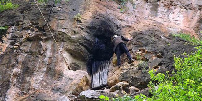 Feng memanjat untuk masuk ke dalam gua | (c) Quirky China News