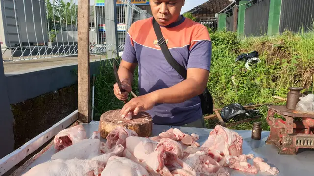 kenaikan harga daging ayam telah mengalami kenaikan hingga empat kali dalam dua pekan terakhir. Awalnya daging ayam diperdagangakan di angka Rp 28 – 30 Ribu, kemudian naik di kisaran angka Rp 30-32 ribu per kilogram.