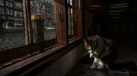 4 Alasan Mengapa Kucing Sering Menjilati Rambut Manusia