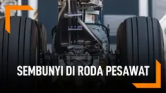 Mau Naik Pesawat Gratis, WNI Sembunyi di Roda